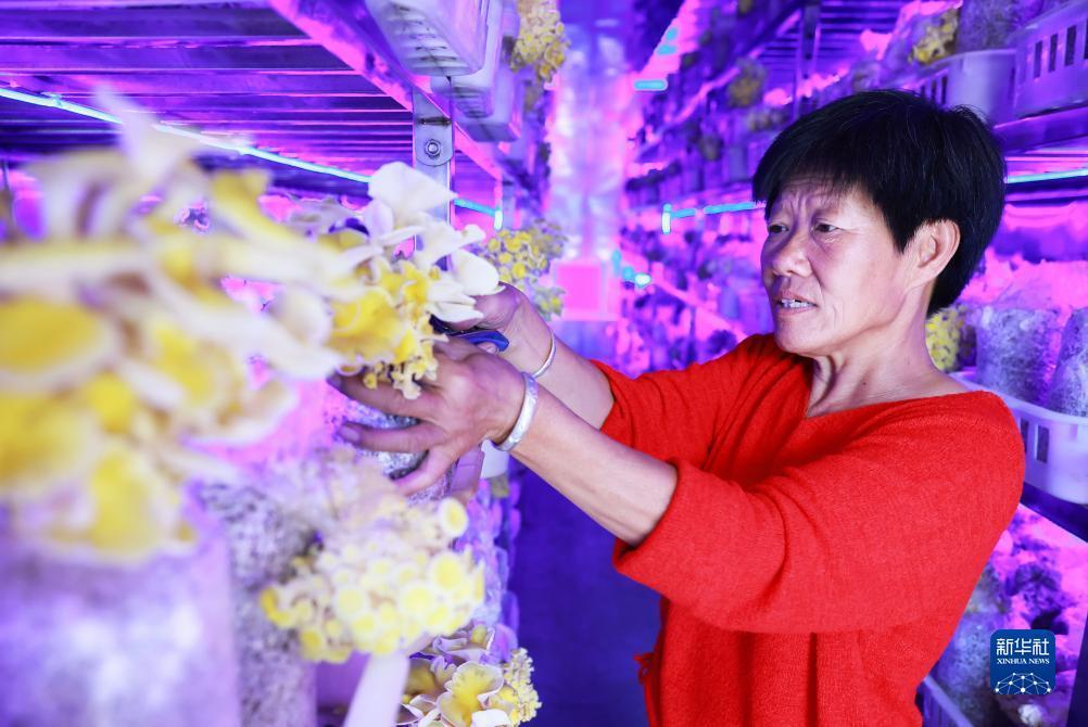 合乐888登录页面